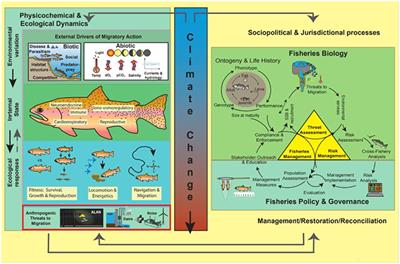 One Hundred Pressing Questions on the Future of Global Fish Migration Science, Conservation, and Policy